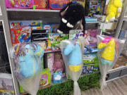 LotOK - покупать легко! LotOK - покупать легко!