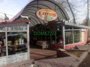Рынок Lotus - на портале domkz.su