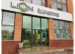 Lion electric