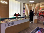 IQOS