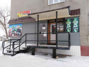 Сокол Сокол