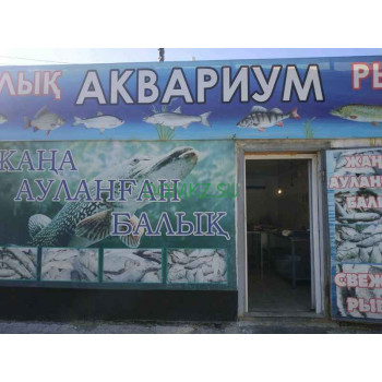 Магазин рыбы и морепродуктов Аквариум - на портале domkz.su