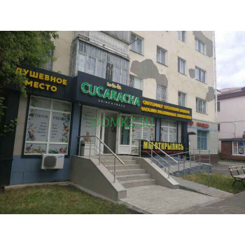 Магазин алкогольных напитков Cucaracha - на портале domkz.su