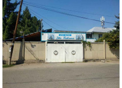 Два павлина