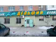 Дельфин Дельфин