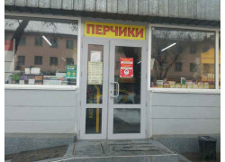 Зейнур