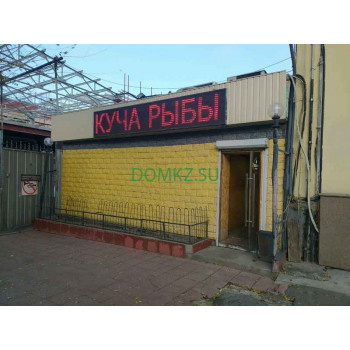 Магазин пива Pro Pivo - на портале domkz.su
