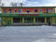 Магазин электроники Спутник - на портале domkz.su