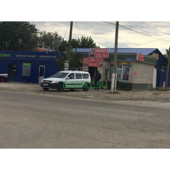 Эльмира Эльмира