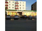 Элсан Элсан