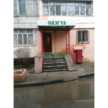 Назгул Назгул