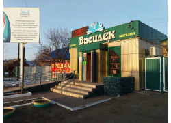 Магазин Василёк