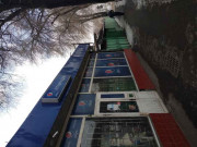 Алтын адам Алтын адам