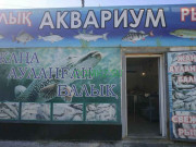Магазин рыбы и морепродуктов Аквариум - на портале domkz.su