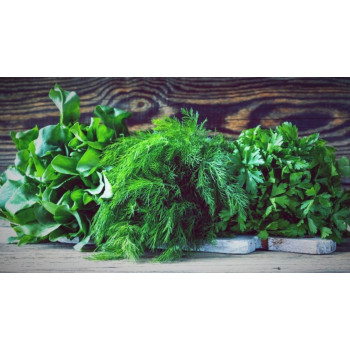 Четыре вида зелени, которые необходимо включать в рацион каждого человека для получения важных витаминов и микроэлементов