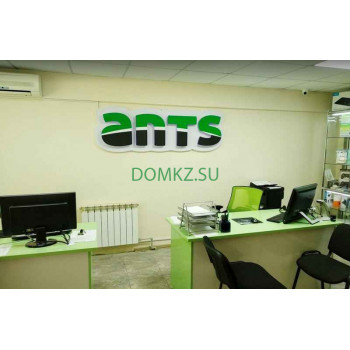 Магазин электроники Ants - на портале domkz.su