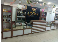 Angel Professional Paris