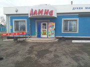 Магазин продуктов Продуктовый магазин Алина - на портале domkz.su