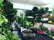 Дом Гурмана