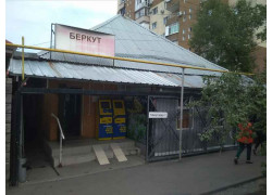 Беркут