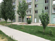 Жiбек