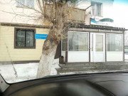 Незабудка Незабудка