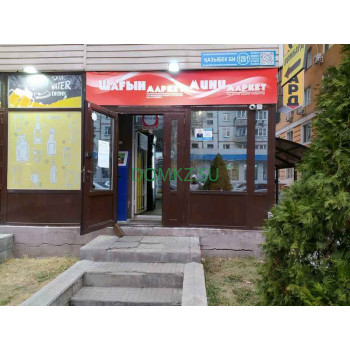 Шагын Шагын