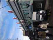 Салем чайка