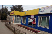 Камелия Камелия