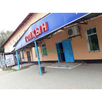 Толқын Толқын