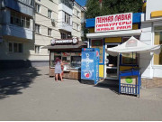 Белый медведь