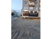 Семь пятниц