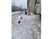 Шаfын маркет