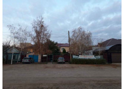 Флора-дизайн