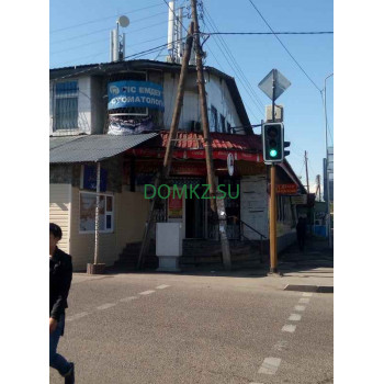 Тогжан Тогжан