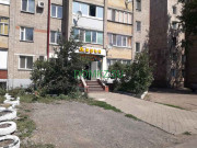 Магазин продуктов Дарья - на портале domkz.su