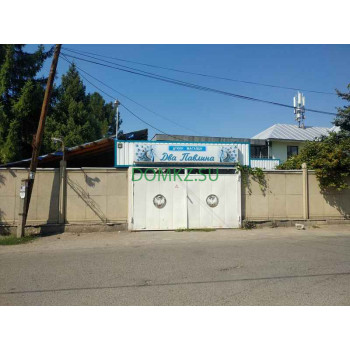 Два павлина