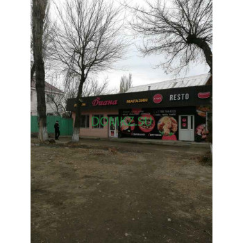 Диана пушкина